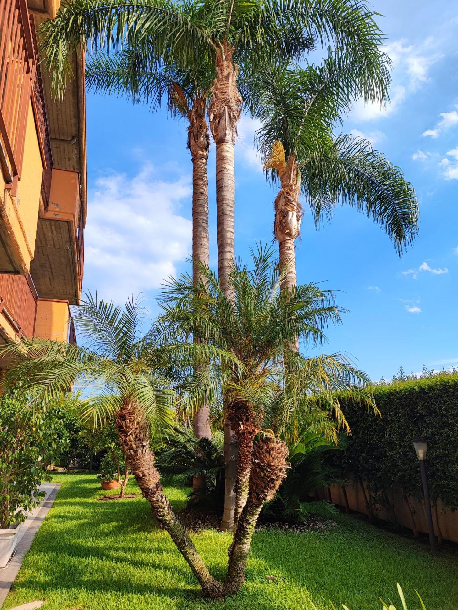 Maresole Tra L'Etna E Taormina Apartment Mascali Exterior photo